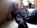 Pipa, a daschund mais linda do mundo!