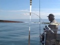 ALBIE FISHING CAPE LOOKOUT ALBIE FISHING CAPE LOOKOUT