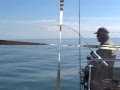 ALBIE FISHING CAPE LOOKOUT