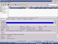 Como descargar torrent
