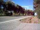 my moped (2nd video) my moped (2nd video)