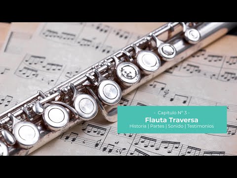 Iniciación Musical | Capítulo 3: Flauta Traversa