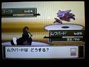 Pokemon Platinum ep9 (3rd Gym Battle Fantina)