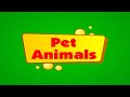 Pet Animals - Flap Book