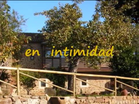 Imagen de previsualización de YouTube
