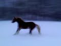FaBo im Schnee...