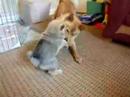 Frank playing with his half sister Pimu