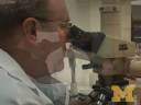 U-M scientists probe limits of \