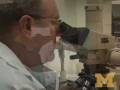 videos de U-M scientists probe limits of 