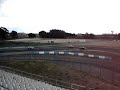 Datsun 1200 no circuito do Estoril