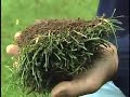 Fall Lawn Care Fall Lawn Care