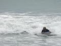 Boogie boarding Boogie boarding
