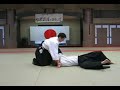 Daito Ryu SHINTOJUSHINKAI  Aikijyujyutsu Tomohiro?Ishikawa