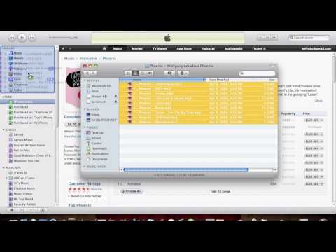 Download - If you have ever wanted to download iTunes songs and albums for free without dumb programs like Limewire, ect. This is how its done. Just follow the video in...