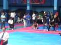 videos de wushu Chile escuela La Grulla 2008