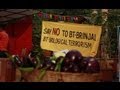 Does 'biopiracy' endanger world food supplies?