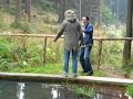 Matrix im Thüringer Wald Matrix im Thüringer Wald