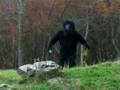 INCREDIBLE BIGFOOT FOOTAGE
