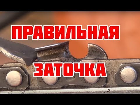Заточить цепь бензопилы своими руками видео Заточить цепь бензопилы своими