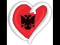 ESC 2008 - Albania ESC 2008 - Albania