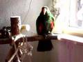 View Video