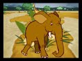 Passeio Animal - Arara
