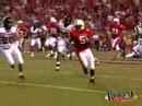 Pelini