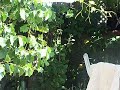 Original Kodak Z712 IS Camera Test File