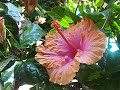 Original Kodak Z712 IS Camera Test File