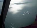 Trasimeno 2008