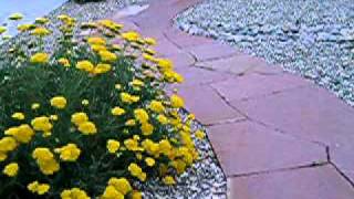 Let me be a (good) secretary.