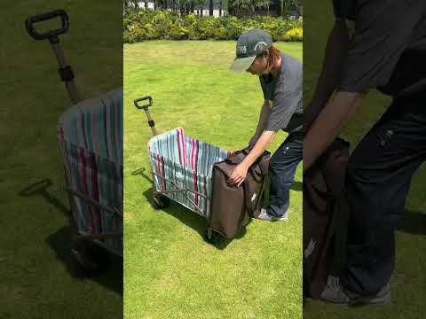 丸洗いバッグインキャリーカート（ブルーストライプ）