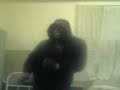 James's dope vids