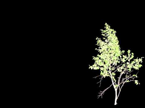 Kent - Celeste @ Emocore är min speciella lilla snöflinga. LYRICS: Sångerna Mikael minns du sångerna När alla VJ:s kom till byn Vår skolgång framför MTV. Sommaren M...