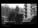Mevrouw van Veen alleen