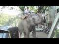 this video shows how i got around india at least one morning.

music by:
pang pung
debung

skooterx theme song
mystery guitar man

all music used in this video was either used with permission of the artist, is royalty/copyright free, or licensed under creative commons (www.creativecommons.org).