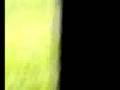 Videopoem Roger Mahaney Bird