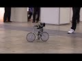 Enlace a En Japon los robots montan en bicicleta