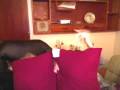 videos de POOPY! the song!!!