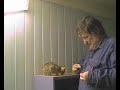 Establishing the sound of a clicker as a conditioned SR