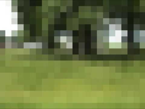 ahreelee - One of two interstitial videos created for a collaborative performance with Adele Myers & Dancers in June 2005 at Artspace, New Haven, CT. Music by Nathan Me...