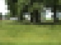 Play: Pixelscape