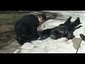 The Friars BCE 07 - Movie Medley The Friars BCE 07 - Movie Medley