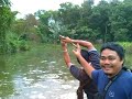 Nur Patin Tumpas