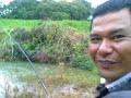Nur Patin Tumpas