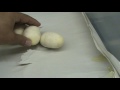 2008 clutch # 6 - part 1