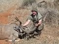 Hunting Africa 4