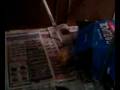 videos de LILY 13FT RETICULATED PYTHON STRIKE & MISS
