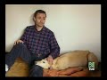 perros de usar y tirar   parte 1