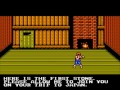 welcome to my redone 53rd official lets play which is double dragon iii: the sacred stones for the nes! this is the hardest of the three and the most disliked of the series. anyways, in this part we tackle the first four stages in the game.